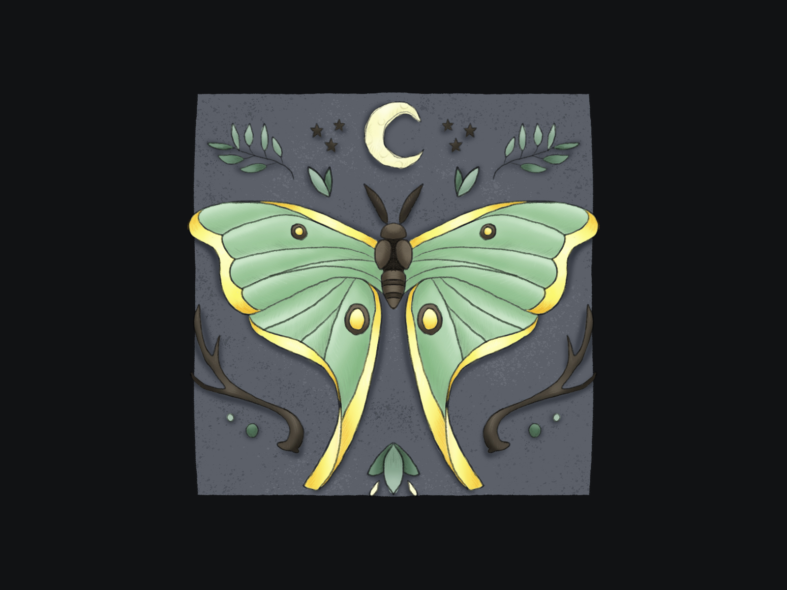 Lunar Moth Illustration